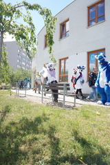photo 14 2024-06-24 06-34-27